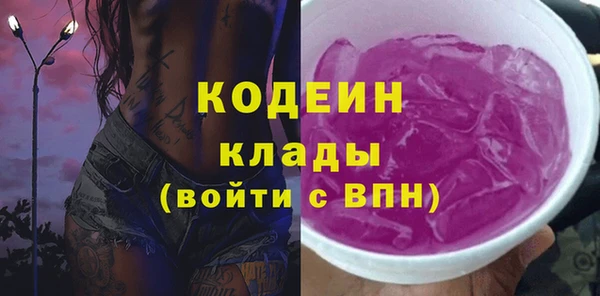 молекула духа Пересвет