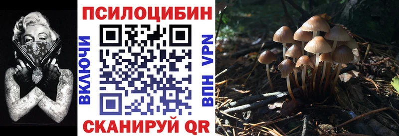 Галлюциногенные грибы мицелий  дарнет шоп  Барыш 
