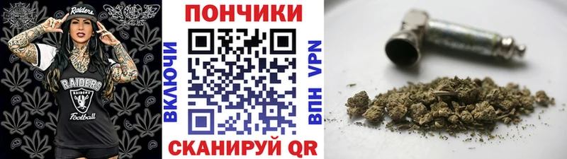 Канабис сатива  купить закладку  Барыш 